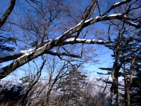 a0043982_1903820.jpg