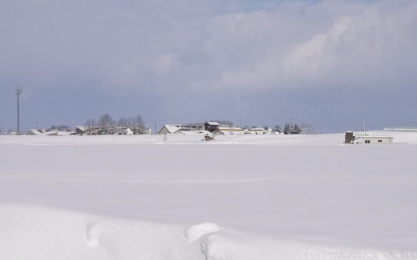 c0144185_1433141.jpg