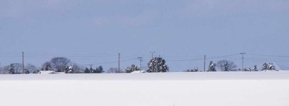 c0144185_15155752.jpg