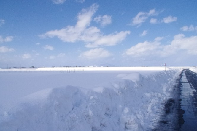 c0144185_1574761.jpg