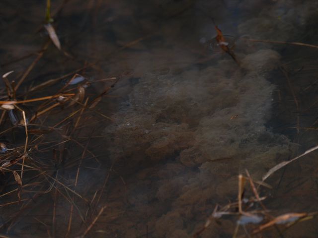 b0108186_23463878.jpg