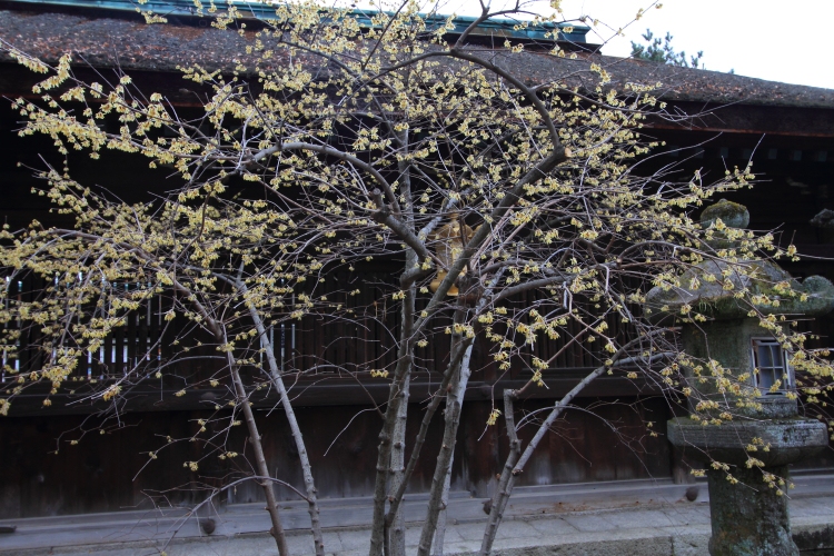e0051888_21391121.jpg