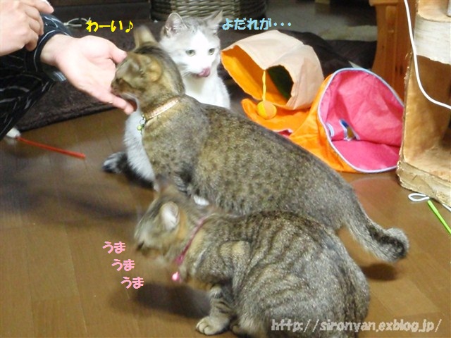 a0159490_142428.jpg