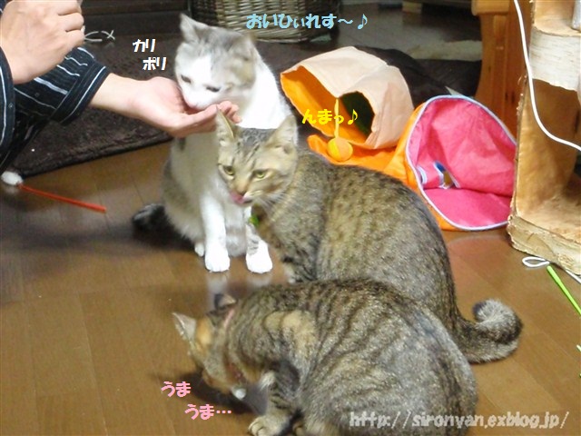 a0159490_1424497.jpg