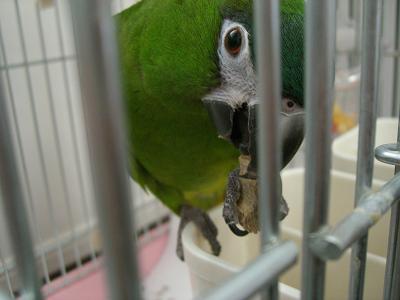 f0234590_8411323.jpg