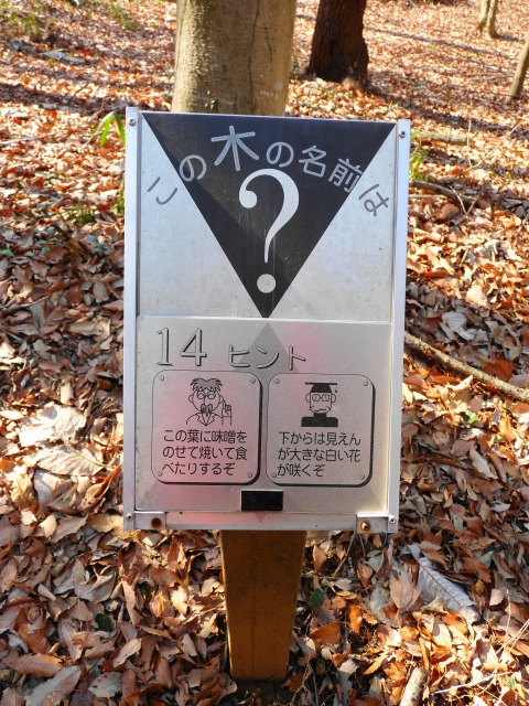 e0202393_7514199.jpg