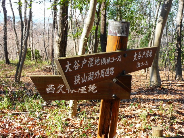 e0202393_751897.jpg