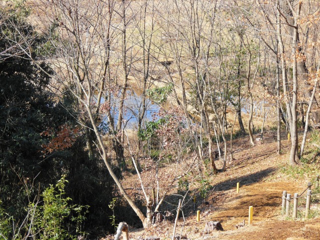 e0202393_7534911.jpg