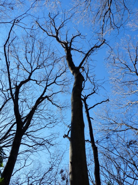 e0202393_753829.jpg