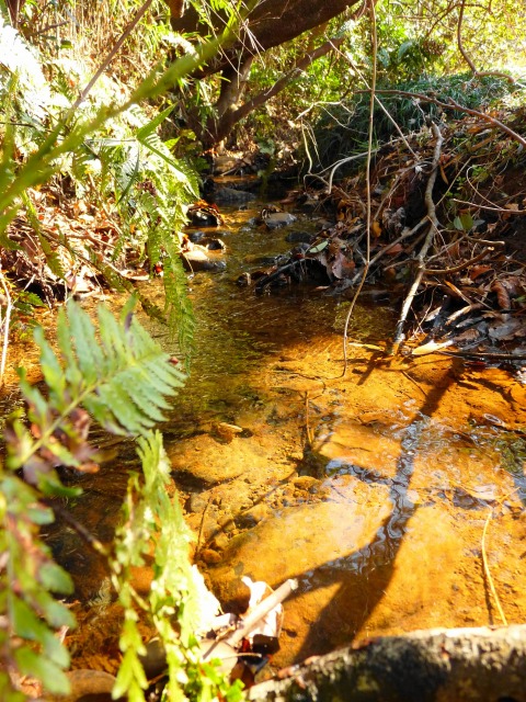 e0202393_805892.jpg