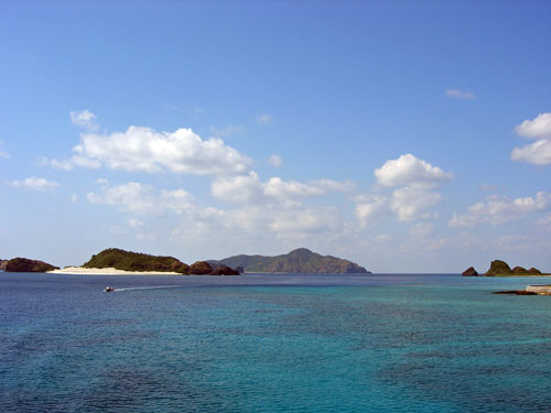 d0047094_15362228.jpg