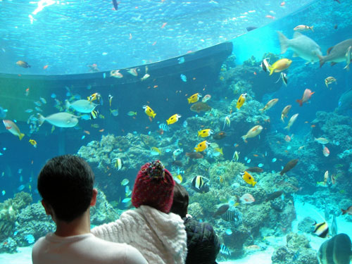 d0047094_15443399.jpg