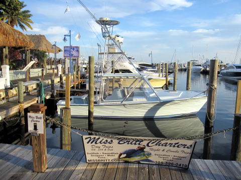 c0090198_2525275.jpg