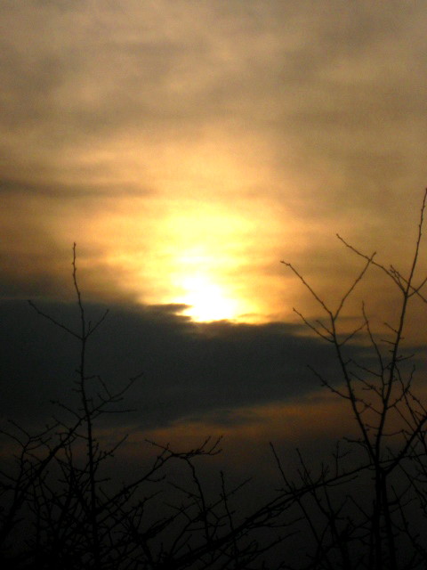 f0236201_8444210.jpg
