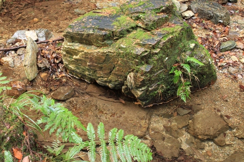 b0146723_14413580.jpg