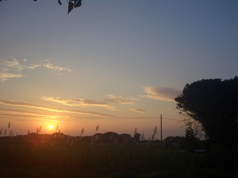 f0197325_2154944.jpg
