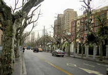 b0143531_2155789.jpg