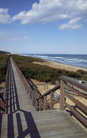 f0060535_23451499.jpg