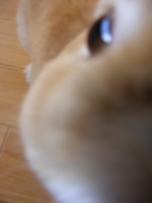b0129140_1648464.jpg