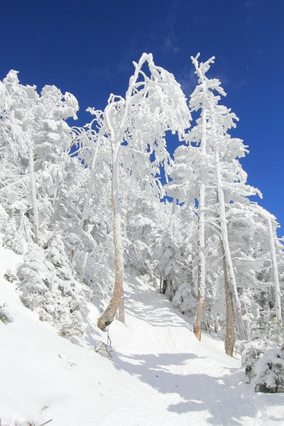 c0228945_21292211.jpg