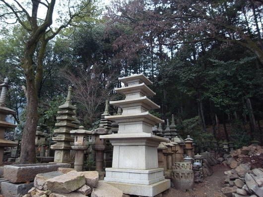 e0126548_1473671.jpg