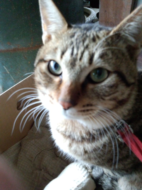 f0195259_7382179.jpg