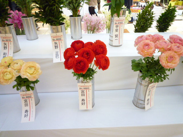 a0241761_011418.jpg