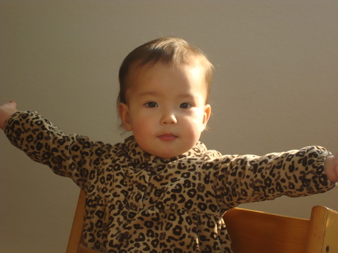 c0059063_77041.jpg