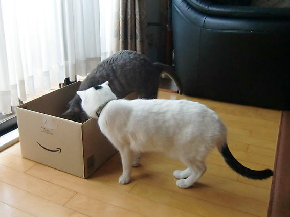 c0226874_132161.jpg