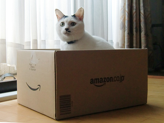 c0226874_132762.jpg