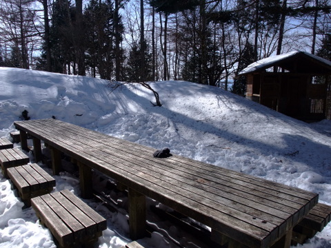 a0043982_17103092.jpg