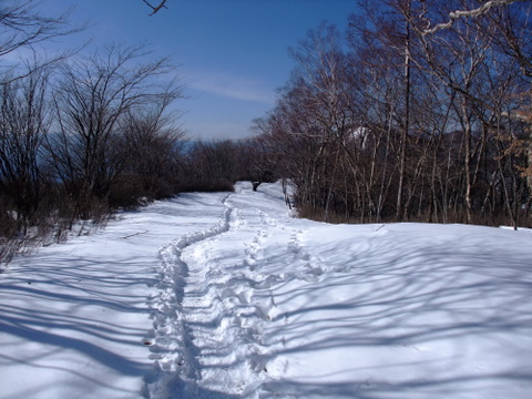 a0043982_17105932.jpg