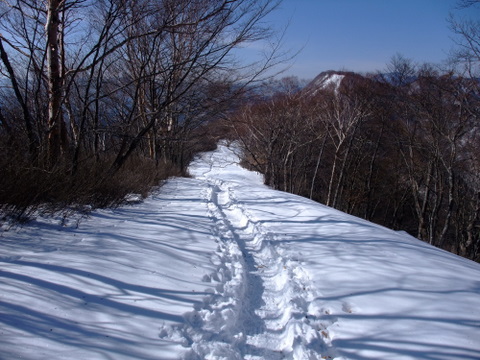a0043982_17111369.jpg