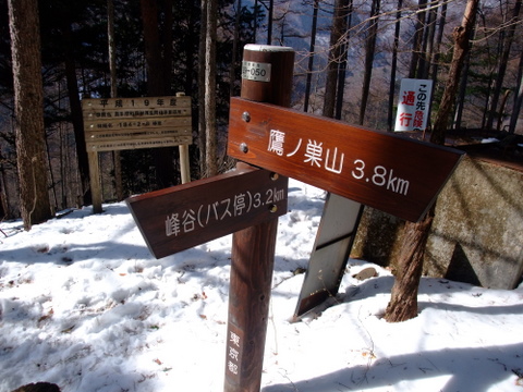 a0043982_2061535.jpg