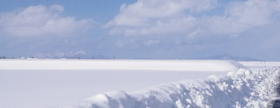 c0144185_18465610.jpg