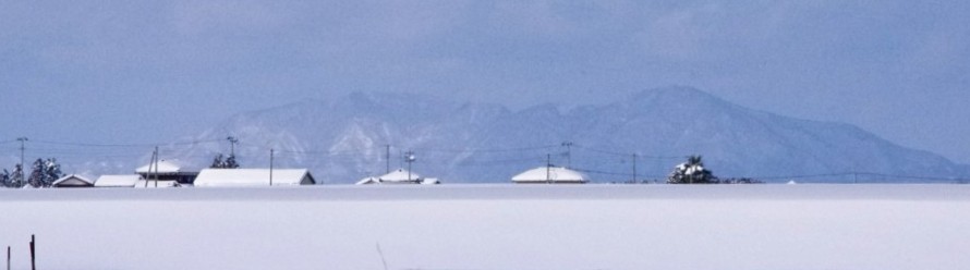 c0144185_2028301.jpg