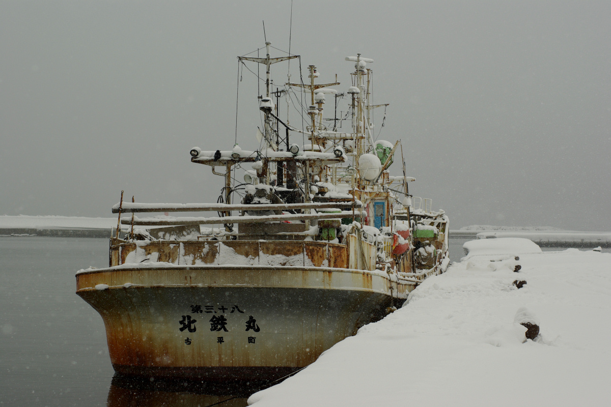 e0051186_2014185.jpg
