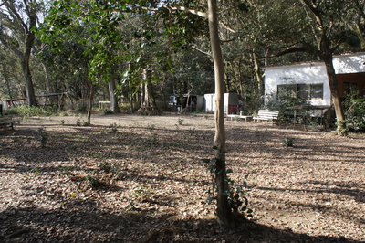 d0160488_13363269.jpg