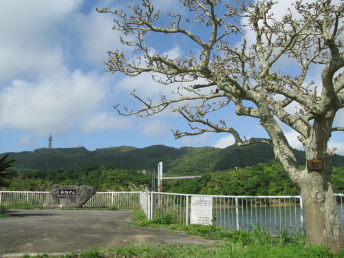 c0064389_19164257.jpg