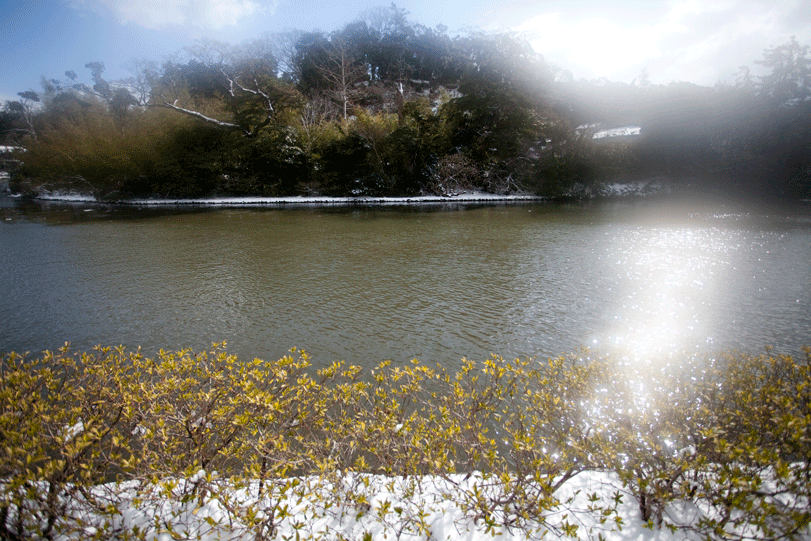 c0193289_94923.gif