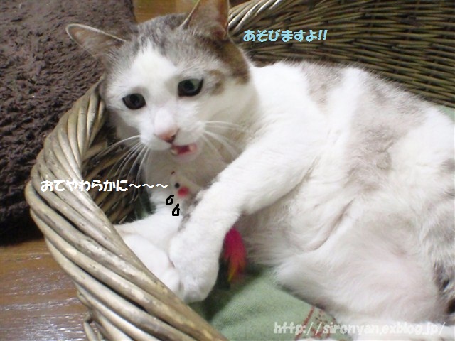 a0159490_1412334.jpg