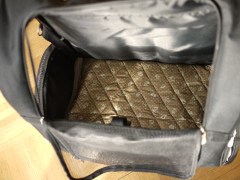 c0090198_346594.jpg