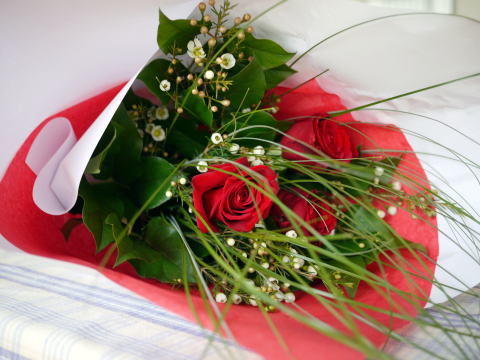 c0090198_3495379.jpg