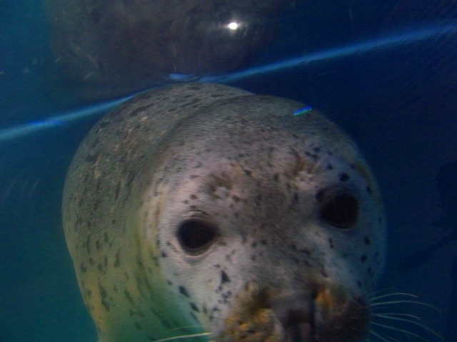 f0157901_2135995.jpg