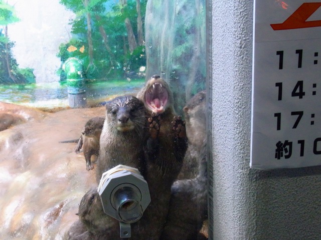 f0157901_2142337.jpg