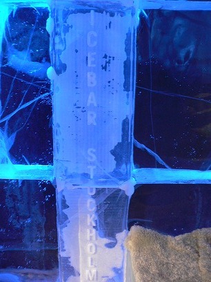 c0153302_1172946.jpg