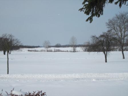f0144707_17334748.jpg