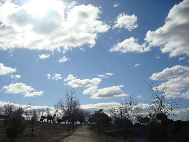 e0255908_2337273.jpg