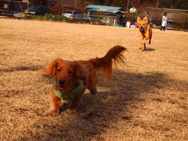 e0209716_13181497.jpg