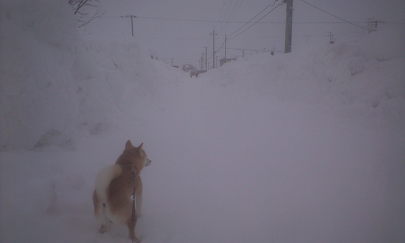 e0227023_015091.jpg